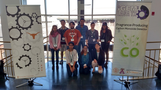 The 2015 iGEM teams from the University of Texas